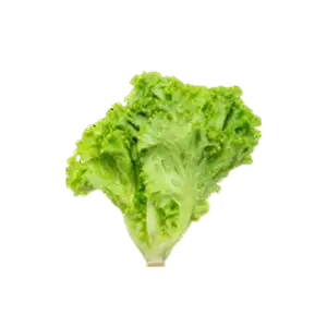 Aar Fish Steak Cut – 500G